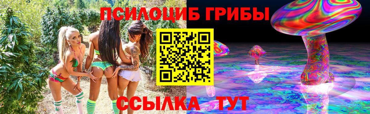 Лабинск  купить  сайты  Вход с VPN  Псилоцибиновые грибы MAGIC MUSHROOMS 