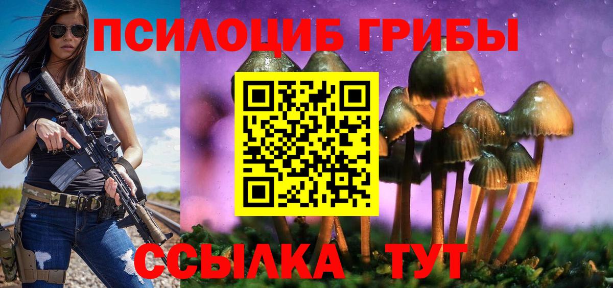 Псилоцибиновые грибы Psilocybe Лабинск
